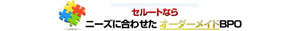 セルートならニーズに合わせたオーダーメイドBPO